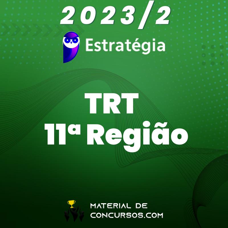 TRT 11 | AM – Analista ou Técnico do Tribunal Regional do Trabalho do Amazonas 2023.2 Estrat